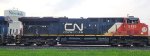 CN 3195